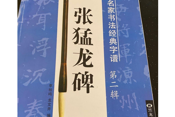 張猛龍碑(2007年黑龍江美術出版社出版的圖書)