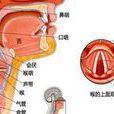 喉頭增大 喉頭增大