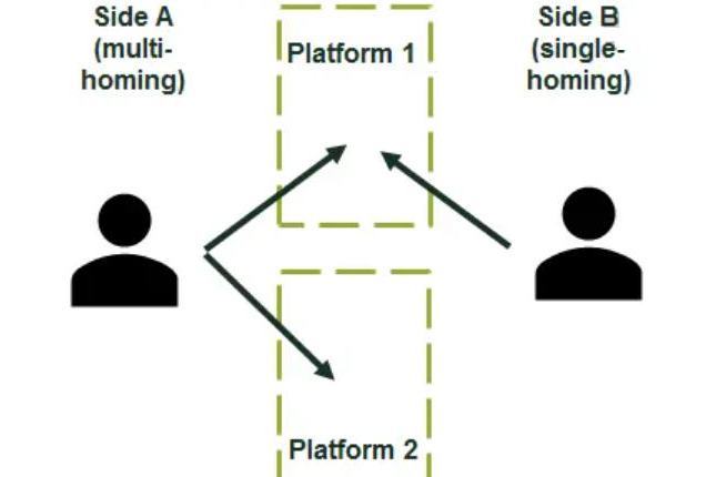 multi-homing multi-homing