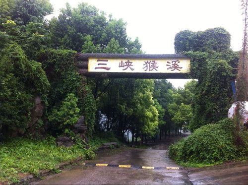 三峽猴溪 三峽猴溪