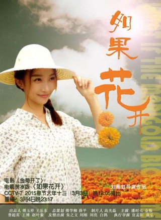 趙葉索