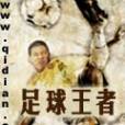 足球王者(小說名稱) 足球王者(小說名稱)