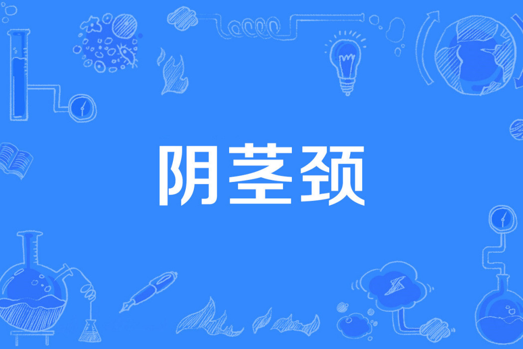 陰莖頸 陰莖頸