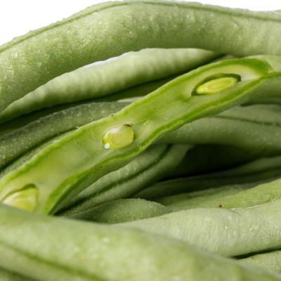 品架1號 品架1號