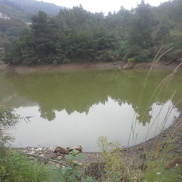 石灰沖水庫