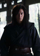 流星蝴蝶劍(2010年王艷主演電視劇)