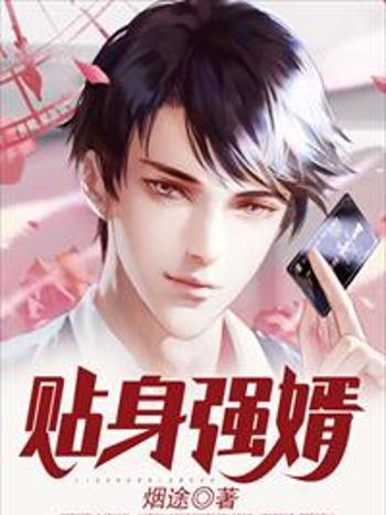 貼身強婿 貼身強婿