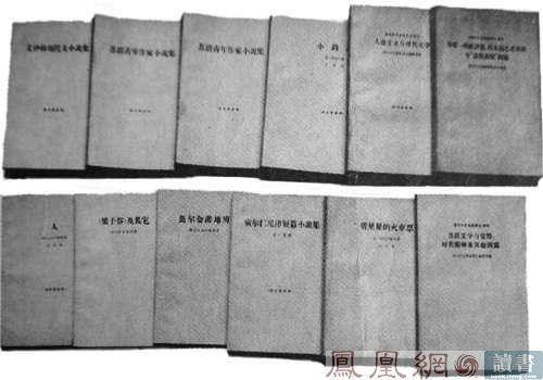 灰皮書 灰皮書