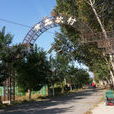 黃土坎村(安徽宣城市績溪縣金沙鎮下轄村) 黃土坎村(安徽宣城市績溪縣金沙鎮下轄村)