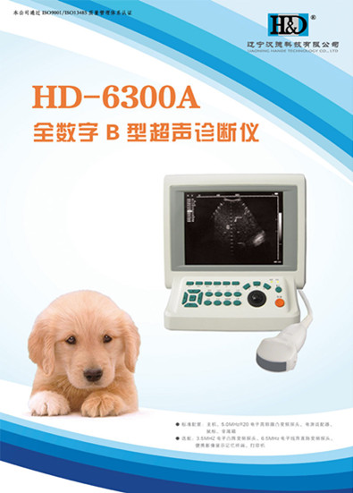 HD-6300A