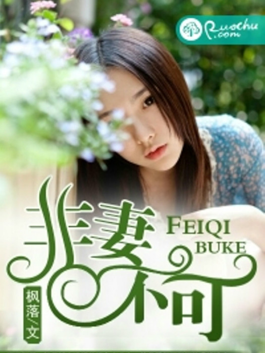 非妻不可 非妻不可
