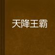 天降王霸