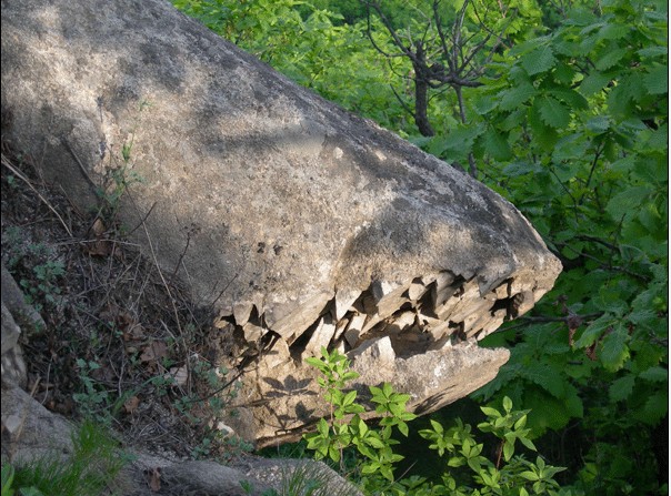鱷魚石