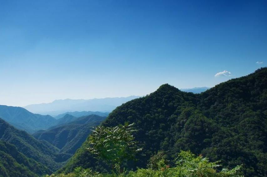 老豆垛山 老豆垛山