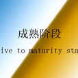 成熟階段 成熟階段