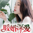 暖婚深愛(子葉與你創作的網路小說) 暖婚深愛(子葉與你創作的網路小說)