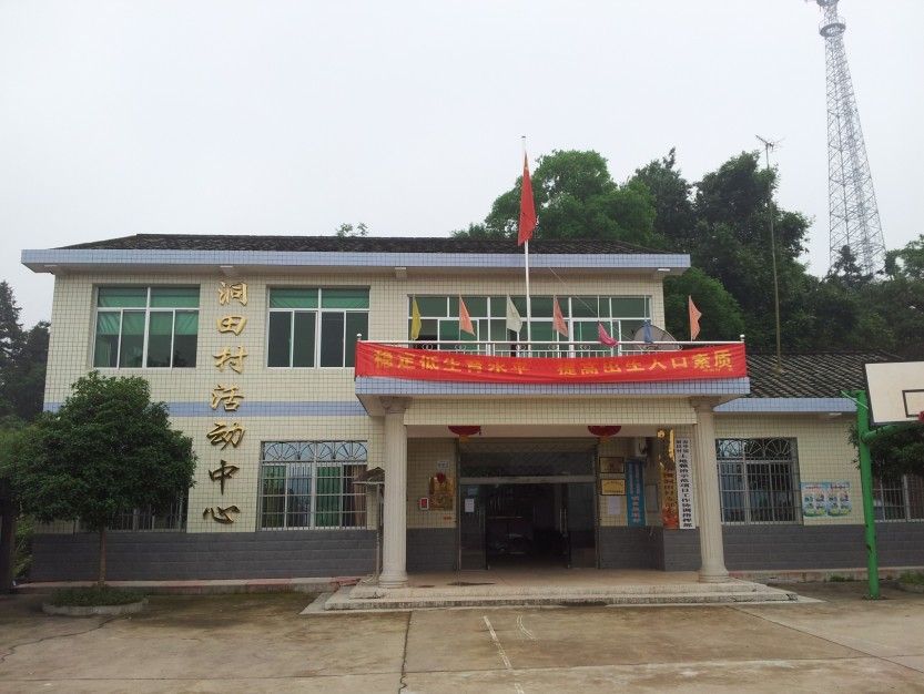 洞田村(湖南省長沙縣春華鎮下轄村) 洞田村(湖南省長沙縣春華鎮下轄村)