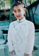愛在有情天(2004年馬景濤、陳秀雯主演電視劇)