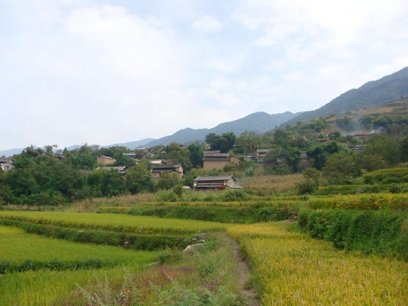 苗丹村 苗丹村
