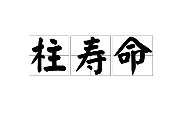 柱壽命 柱壽命
