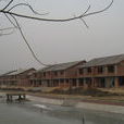 桃李村(雲南省峨山縣雙江鎮桃李村) 桃李村(雲南省峨山縣雙江鎮桃李村)
