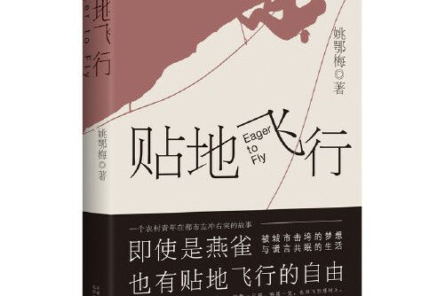 貼地飛行(2018年北京十月文藝出版社出版的圖書) 貼地飛行(2018年北京十月文藝出版社出版的圖書)