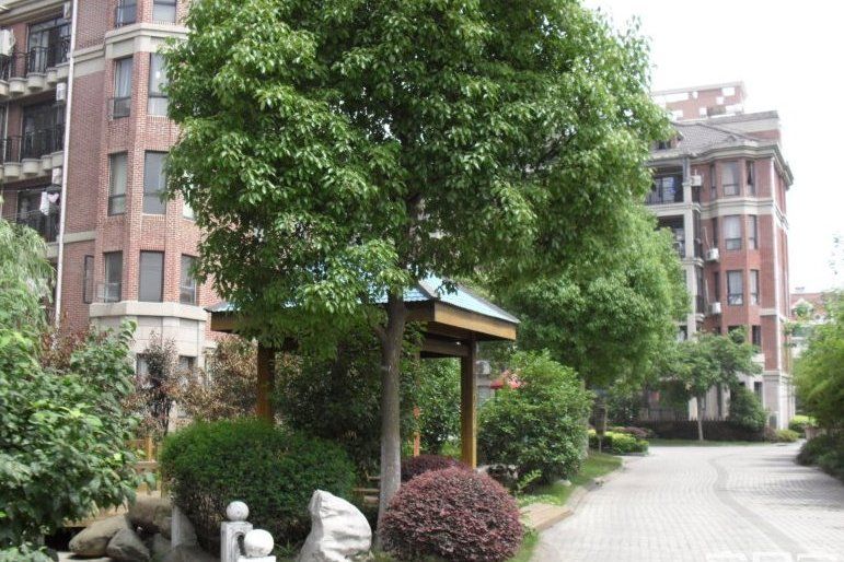 匯園(巨峰路915弄的住宅小區) 匯園(巨峰路915弄的住宅小區)