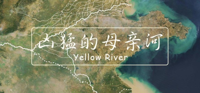 江蘇和山東，誰被黃河禍害得最慘？