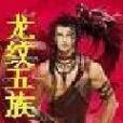 龍紋五族 龍紋五族