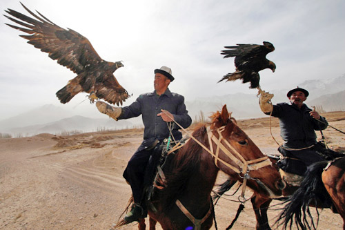 (8圖片)柯爾克孜族的養鷹人