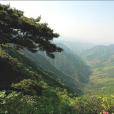 西板橋村(河南省衛輝市上樂村鎮下轄村) 西板橋村(河南省衛輝市上樂村鎮下轄村)