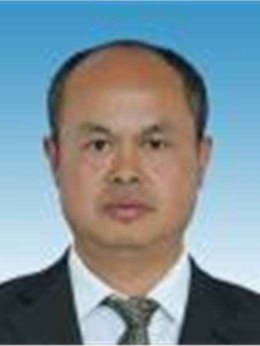 楊暉(江西省吉安市國資委黨工委委員、副主任) 楊暉(江西省吉安市國資委黨工委委員、副主任)