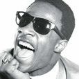 Steve Wonder Steve Wonder