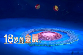 金晨