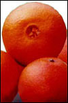 臍血橙(圖片8)