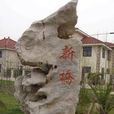 新橋鎮(上海松江區轄鎮) 新橋鎮(上海松江區轄鎮)