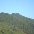 余仕村 余仕村
