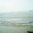 岸冰 岸冰