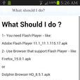Flash Player JB
