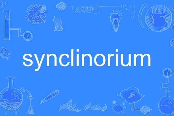 synclinorium synclinorium