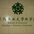 東北林業大學林學院