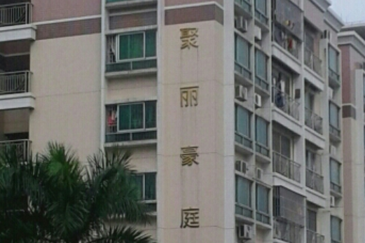 聚麗豪庭 聚麗豪庭