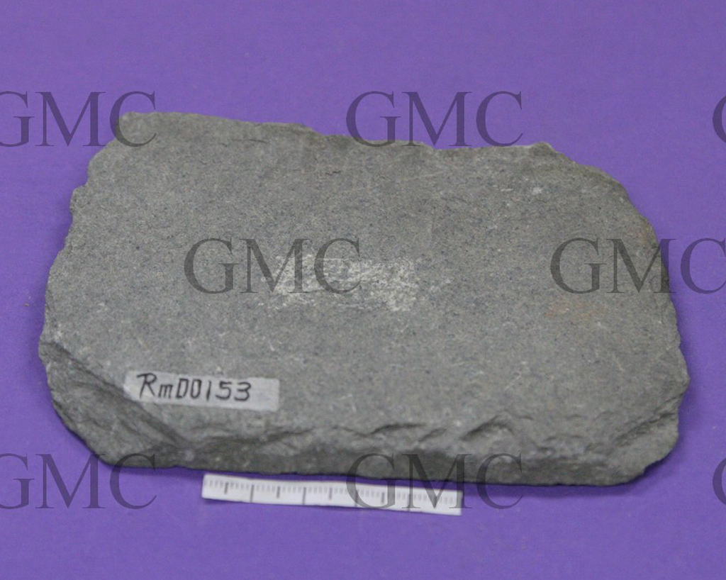 中國地質博物館灰綠色板岩藏品圖片（二）