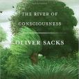 The River of Consciousness The River of Consciousness