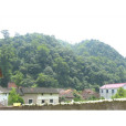 嶺下湯村