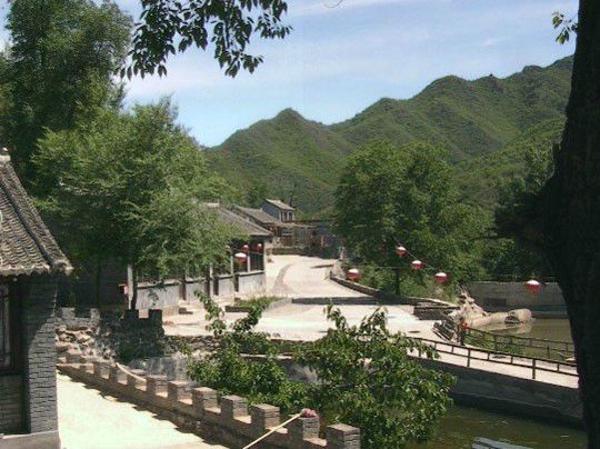 雙金草村 雙金草村