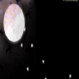 水月清淺 水月清淺