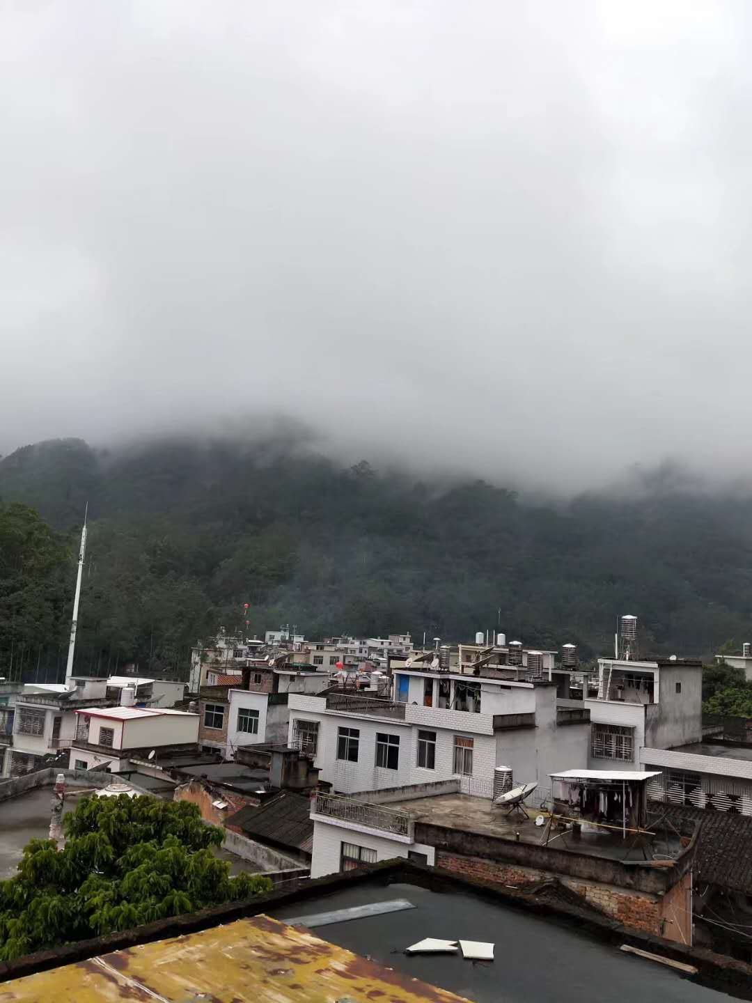 金坑村(福建漳州雲霄縣下河鄉下轄村)