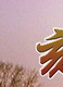 周小斌