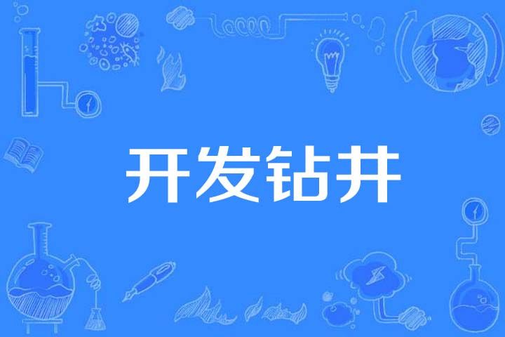開發鑽井 開發鑽井